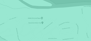 map mobile